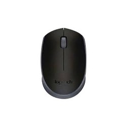 Logitech M170 Wireless USB Mouse