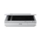 Epson Work Force DS-50000 A3 Flatebed Scanner
