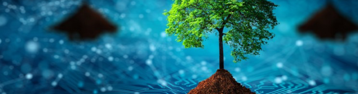 The Impact of Computer Hardware on Sustainable Development